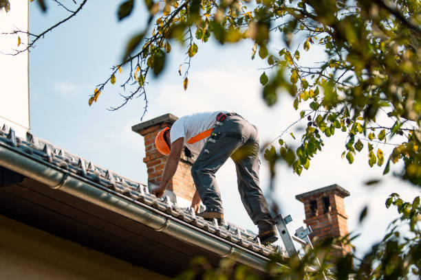 Roof Gutter Cleaning in Ave Maria, FL